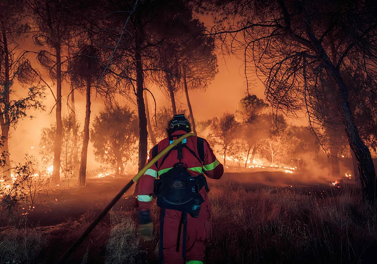Ante los incendios forestales de Ávila y Madrid