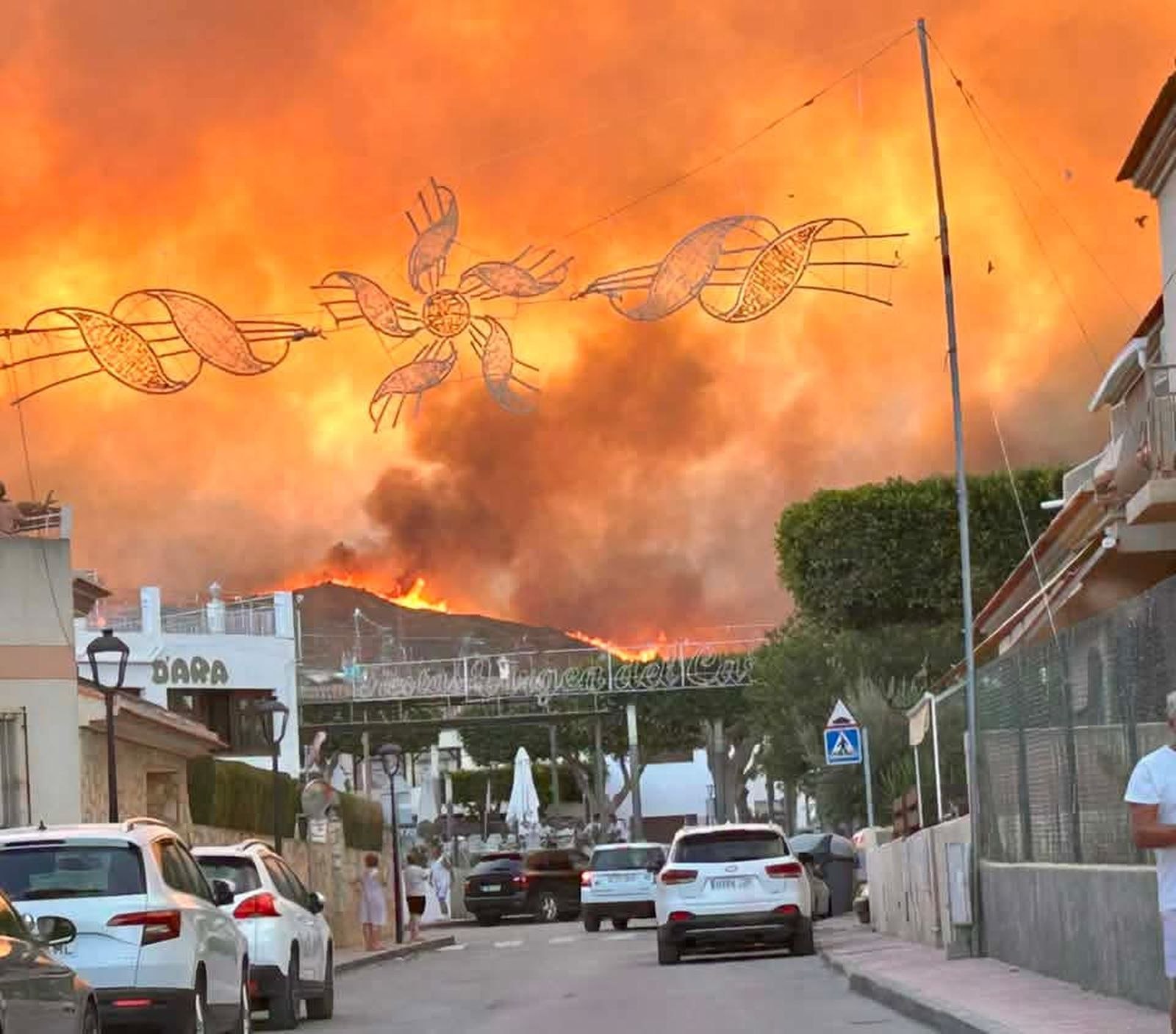 ANTE EL INCENDIO DE LOS GALLARDOS
